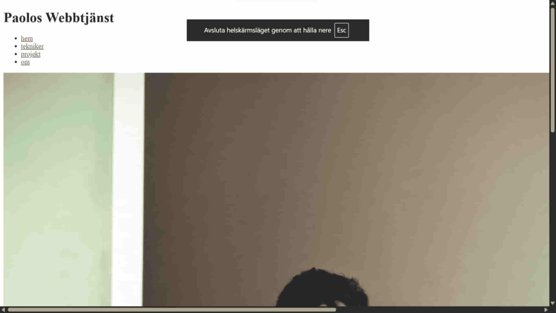 Bild på sidan utan css kod